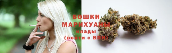 МДПВ Козельск