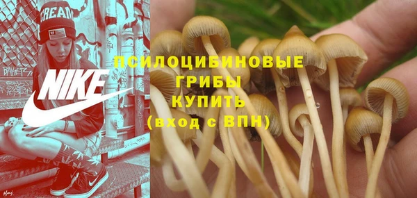 МДПВ Фёдоровский
