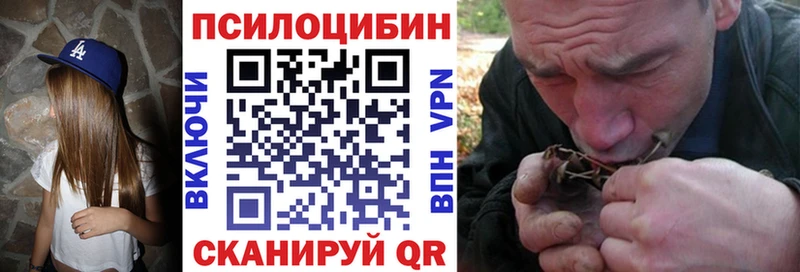 продажа наркотиков Южно-Сухокумск Псилоцибиновые грибы GOLDEN TEACHER